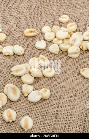 Fermer la grenaille de table de maïs blanc séché / grains de maïs connus au Mexique sous le nom de Mote. Éparpillées sur le jute. Banque D'Images