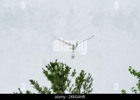 Peinture à l'aquarelle créée numériquement de Great Egret ou de Great White Heron sautant en vol. Banque D'Images