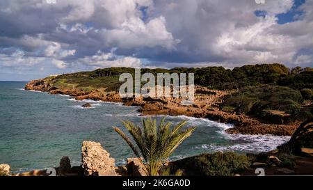 La mer de ruines romaines de Tipasa en Algérie Banque D'Images