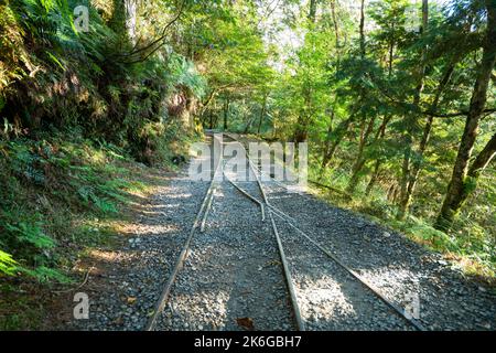 Magnifique sentier historique de Jianqing (Jiancing), chemin de fer forestier de l'aire de loisirs de la forêt nationale de Taipingshan de Taiwan. Banque D'Images