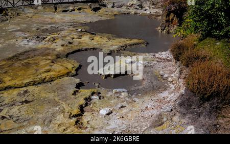 Les champs géothermiques près de Furnas lake à Sao Miguel, Açores, Portugal Banque D'Images