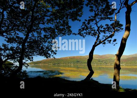 L'estuaire du Mawddach, parc national de Snowdonia Banque D'Images