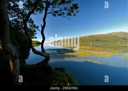 L'estuaire du Mawddach, parc national de Snowdonia Banque D'Images