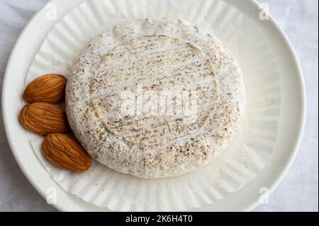 Goût de Provence, petit fromage rond Tome de Provence à base de lait de chèvre à Banon, Alpes-de-haute-Provence, France, gros plan Banque D'Images