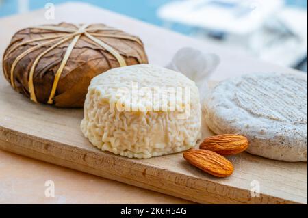 Dégustation de France, petit fromage rond Tome de Provence, petit fromage de chèvre mûr et fromage de montagne banon enveloppé de feuilles de châtaignier, Alpes-de-haute- Banque D'Images