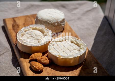 Fromages français Rocamadour et Saint-Marcellin servis sur une planche en bois d'olivier avec des amandes sur des lampes solaires Banque D'Images