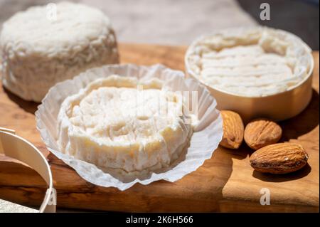 Fromages français Rocamadour et Saint-Marcellin servis sur une planche en bois d'olivier avec des amandes sur des lampes solaires Banque D'Images