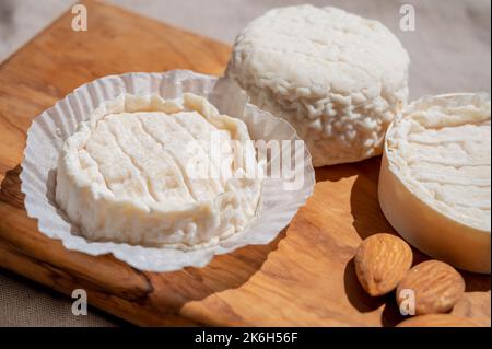 Fromages français Rocamadour et Saint-Marcellin servis sur une planche en bois d'olivier avec des amandes sur des lampes solaires Banque D'Images