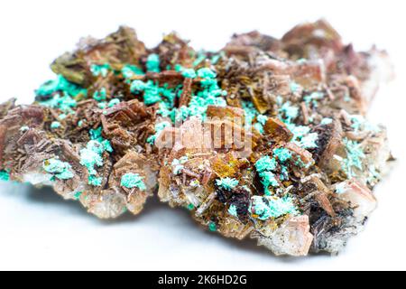 Amas de cristaux d'albite brun véritable avec petits amas de malachite vert clair isolés sur du blanc. Macro Banque D'Images