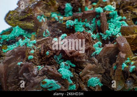 Amas de cristaux d'albite brun véritable avec petits amas de malachite vert clair isolés sur du blanc. Macro Banque D'Images