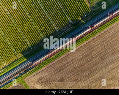 Vue aérienne d'un train et de voies ferrées entre les champs vus directement d'en haut Banque D'Images