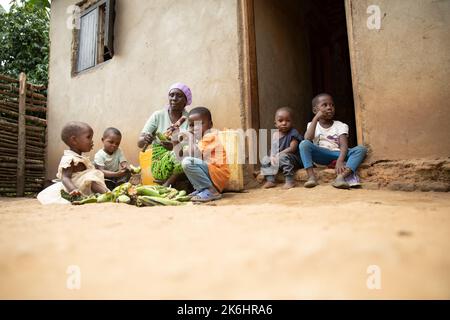 Une grand-mère prépare un repas de banane féculente (banane des hautes terres d'Afrique de l'est) connue localement sous le nom de Matooke, pour ses petits-enfants dans le district de Kasese, en Afrique de l'est. Banque D'Images