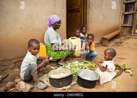 Une grand-mère prépare un repas de banane féculente (banane des hautes terres d'Afrique de l'est) connue localement sous le nom de Matooke, pour ses petits-enfants dans le district de Kasese, en Afrique de l'est. Banque D'Images