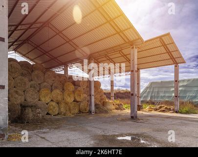Grange de foin avec balles de paille empilées dans une ferme de bétail. Concept de stockage dans la cour de ferme Banque D'Images