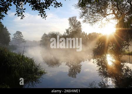Rayons du soleil qui brillent à travers les arbres sur la rivière Wey, Guildford, Surrey, Royaume-Uni Banque D'Images