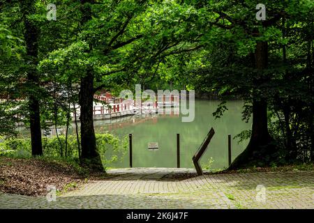 SOVATA, MURES, ROUMANIE – 29 MAI 2021 : paysage avec le lac Alunis (Lacul Alunis) dans la station de Sovata, Transylvanie, Roumanie. Banque D'Images