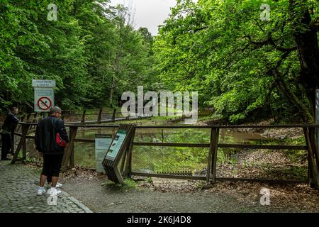 SOVATA, MURES, ROUMANIE – 29 MAI 2021 : paysage avec le lac vert (Lacul Verde) dans la station de Sovata, Transylvanie, Roumanie. Banque D'Images