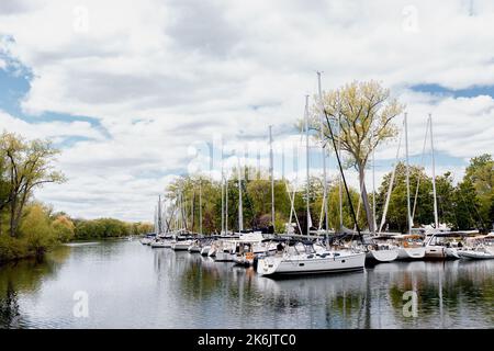 Vue sur la marina avec yachts à mâts par jour nuageux. Bateaux amarrés près de l'arbre Banque D'Images