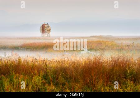 West Dyke Wetland Richmond C.-B. Faible brouillard et brouillard au-dessus des marais de West Dyke au bord du détroit de Georgia. Richmond, Colombie-Britannique, Canada près de Banque D'Images