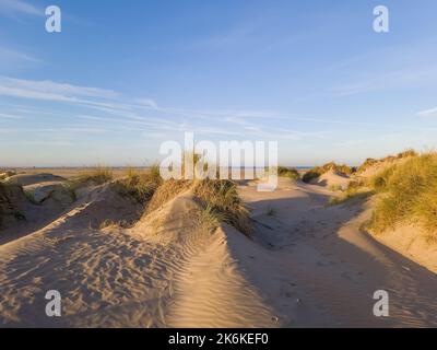 Lever de soleil sur un paysage de dunes avec vue sur la plage à IJmuiden, dans la province néerlandaise du Nord de la Hollande, avec des modèles de vent dans des dunes soufflées surcultivées avec du maram Banque D'Images