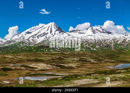 Vue panoramique vers l'ouest depuis Haines Highway vers le parc provincial Tatshenshini-Alsek et la chaîne d'Alsek ; Alaska ; États-Unis Banque D'Images