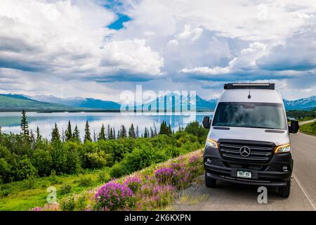 Airstream Interstate 24X 4WD campervan; herbe à feu poussant le long du lac Kathleen; parc national et réserve Kluane; Haines Highway; Alaska; États-Unis Banque D'Images