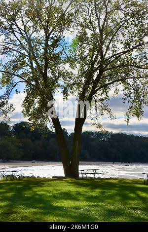 Banc sous un arbre dans Edgewater Park, Cleveland, Ohio Banque D'Images