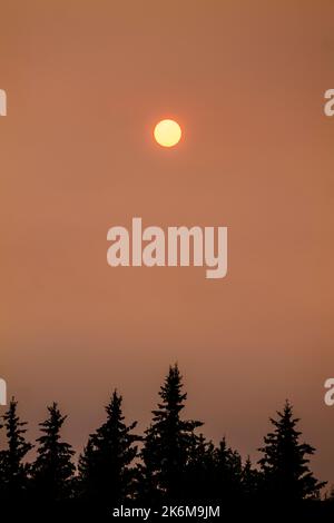 La fumée des feux de forêt à proximité colore le ciel orange de jour; Fairbanks; Alaska; États-Unis Banque D'Images