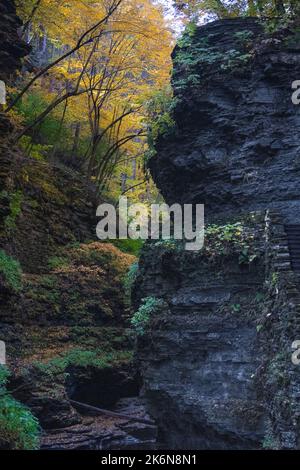 ÉTATS-UNIS. 14th octobre 2022. New York État automne Météo et arbre couleur / couleur crédit: Don Mennig / Alamy Live News Banque D'Images