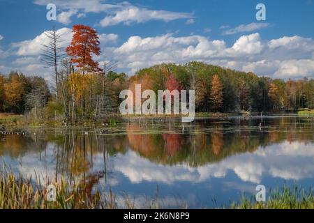 ÉTATS-UNIS. 14th octobre 2022. New York État automne Météo et arbre couleur / couleur crédit: Don Mennig / Alamy Live News Banque D'Images