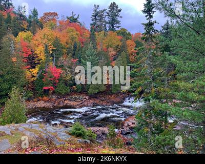 Couleurs fascinantes des couleurs d'automne/d'automne/feuillage à la baie Batchawana/chutes Chippewa/rivière-Ontario/Canada Banque D'Images