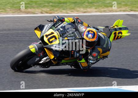 15 octobre 2022: Luca Marini (ITA) sur le no 10 Ducati de l'équipe de course Mooney Vr46 à la journée de qualification pour le Grand Prix d'Australie des marques Animoca 2022 au circuit du Grand Prix de Phillip Island, Victoria, Australie. Sydney Low/Cal Sport Media Banque D'Images