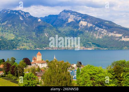 Vue aérienne de la ville de Spiez avec le château de Spiez et le lac Thun dans l'Oberland bernois, en Suisse Banque D'Images