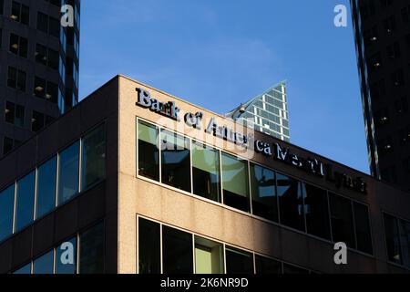 Le soleil de l'après-midi se couche sur un immeuble de bureaux de la Bank of America Merrill Lynch dans le quartier financier de Toronto. Banque D'Images