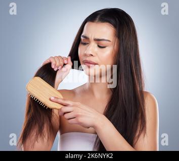 Jeune femme de race mixte regardant malheureux tout en luttant pour se brosser les cheveux endommagés. Femme se brossant les nœuds de ses cheveux emmêlés Banque D'Images