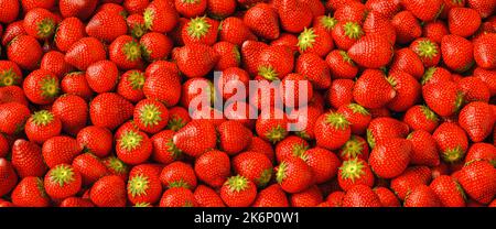 Fond de fraises mûres rouges Banque D'Images