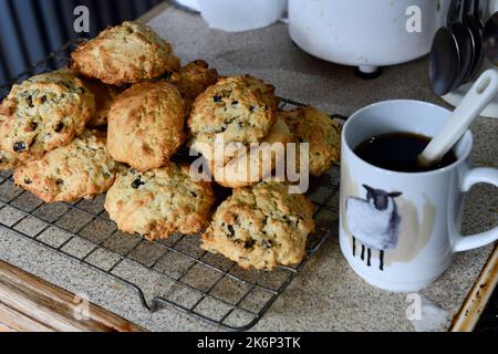 Rock cakes refroidissement sur le plateau en fil de cuisine Hook Norton Oxfordshire Angleterre royaume-uni Banque D'Images