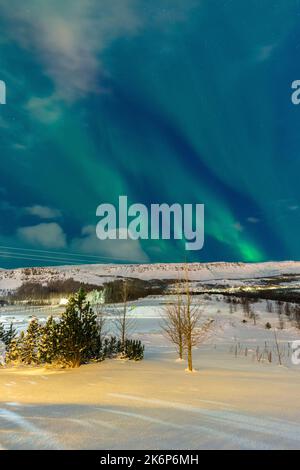 Le nord illumine le camping, la région du nord-est, l'Islande, l'Europe. Banque D'Images