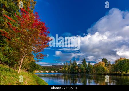 Automne sur les rives de la rivière Tay, près du village de Dunked, Perth & Kinross, Écosse, Royaume-Uni Banque D'Images