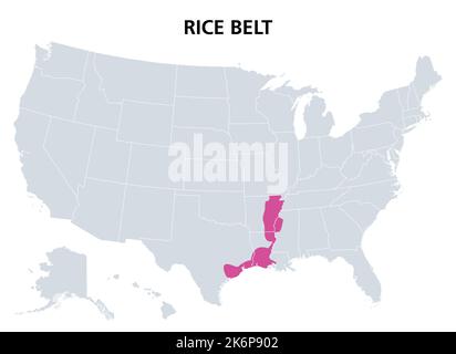 Rice Belt des États-Unis, carte politique. Région dans le sud des États américains, qui cultivent une partie importante de la récolte de riz des nations. Banque D'Images