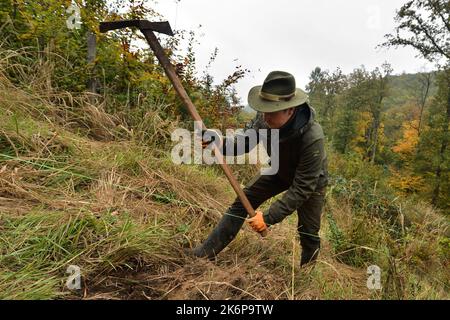 Brno, République tchèque. 15th octobre 2022. Journée de restauration des forêts publiques organisée par Lesy CR près de Brno - Vallée de Marianske, République Tchèque, 15 octobre 2022. Crédit : Patrik Uhlir/CTK photo/Alay Live News Banque D'Images