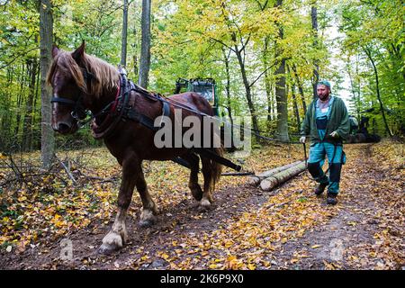 Brno, République tchèque. 15th octobre 2022. Journée de restauration des forêts publiques organisée par Lesy CR près de Brno - Vallée de Marianske, République Tchèque, 15 octobre 2022. Crédit : Patrik Uhlir/CTK photo/Alay Live News Banque D'Images