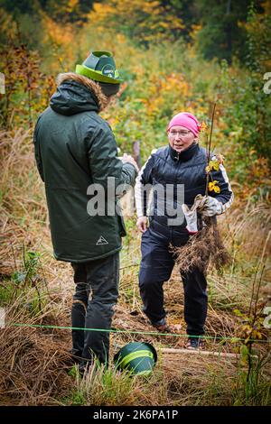 Brno, République tchèque. 15th octobre 2022. Journée de restauration des forêts publiques organisée par Lesy CR près de Brno - Vallée de Marianske, République Tchèque, 15 octobre 2022. Crédit : Patrik Uhlir/CTK photo/Alay Live News Banque D'Images