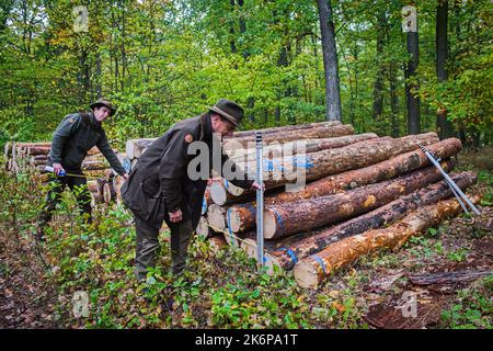 Brno, République tchèque. 15th octobre 2022. Journée de restauration des forêts publiques organisée par Lesy CR près de Brno - Vallée de Marianske, République Tchèque, 15 octobre 2022. Crédit : Patrik Uhlir/CTK photo/Alay Live News Banque D'Images