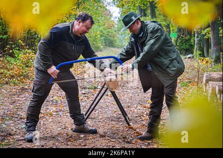 Brno, République tchèque. 15th octobre 2022. Journée de restauration des forêts publiques organisée par Lesy CR près de Brno - Vallée de Marianske, République Tchèque, 15 octobre 2022. Crédit : Patrik Uhlir/CTK photo/Alay Live News Banque D'Images