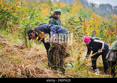 Brno, République tchèque. 15th octobre 2022. Journée de restauration des forêts publiques organisée par Lesy CR près de Brno - Vallée de Marianske, République Tchèque, 15 octobre 2022. Crédit : Patrik Uhlir/CTK photo/Alay Live News Banque D'Images