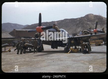 Vue à moitié avant gauche d'un Mustang Mk nord-américain. IVA, portant le marquage de l'Armée de l'air sud-africaine, en cours d'armement quelque part en Corée. Une bombe se trouve devant l'aile droite avant d'être fixée au porte-bombe. Deux hommes d'équipage déplacent la bombe sous l'aile, et deux autres hommes sont visibles derrière eux. Un homme d'équipage travaille sur le dessus de l'aile en chargeant des munitions de calibre .50 dans les canons de l'aile. Une autre bombe est visible dans le premier plan gauche de l'image, et les véhicules de soutien et l'équipement sont également visibles autour de l'avion. Un autre Mustang Mk. IV est dans le backgroun Banque D'Images
