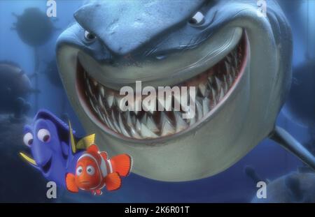 Trouver Nemo Dory, Marlin et Bruce Banque D'Images