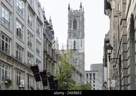 La tour de la basilique notre-Dame de Montréal, vue de la rue Saint-Sulpice, Montréal, Québec, Canada Banque D'Images