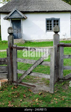 Vieille porte blanche avec des intempéries dans le mur en bois d'une ancienne cabane, bois traditionnel, la peinture s'écaille. Le seuil d'une maison abandonnée est trop grand avec Banque D'Images
